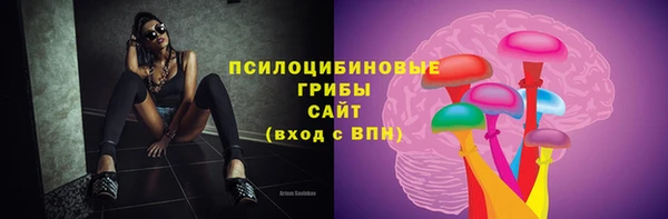 амф Абдулино