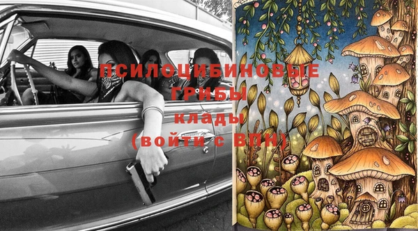 МДПВ Абаза