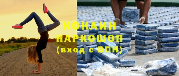 МДПВ Абаза
