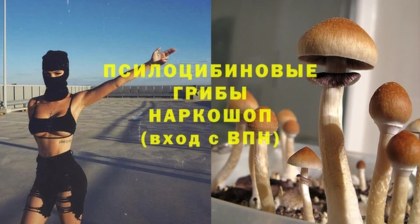МДПВ Абаза